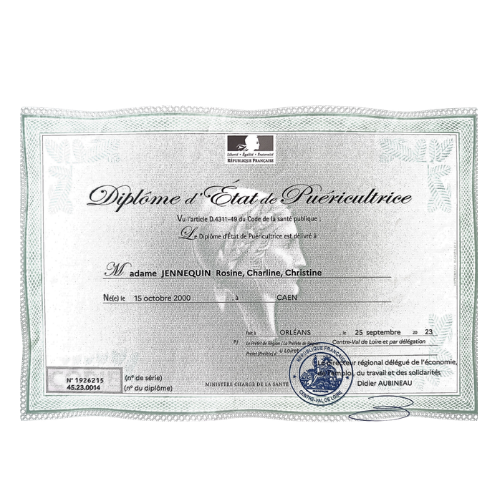 diplome puer